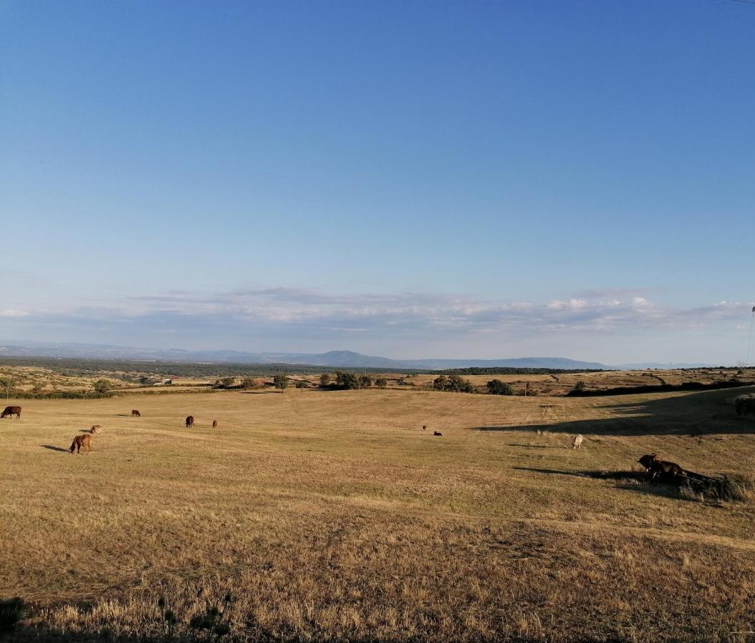 Bed and Breakfast Deiana Santu Lussurgiu Esterno foto